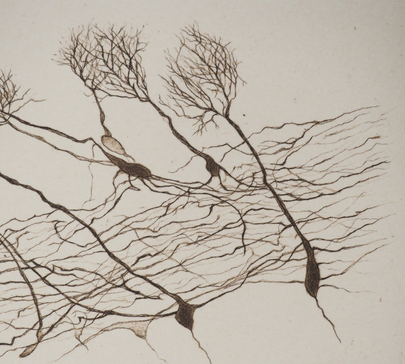 Cécile REIMS : Le vent sur les arbres, Gravure originale signée