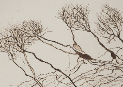 Cécile REIMS : Le vent sur les arbres, Gravure originale signée