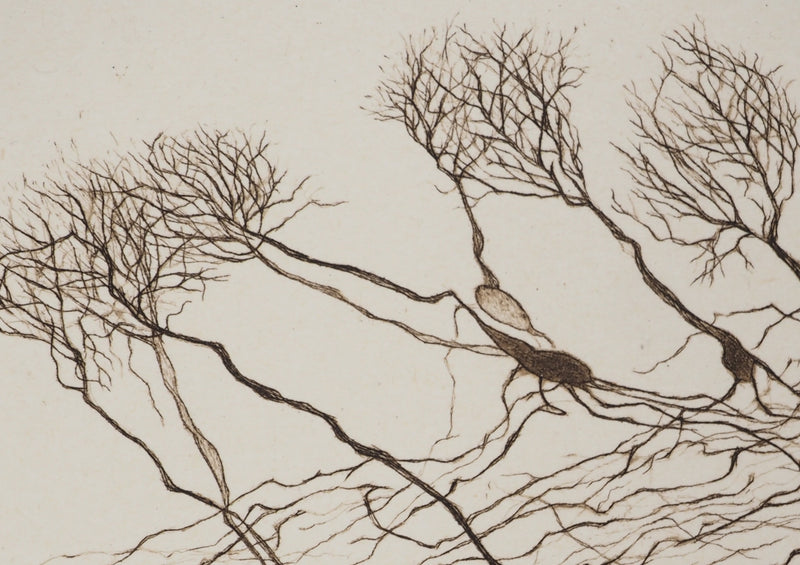 Cécile REIMS : Le vent sur les arbres, Gravure originale signée