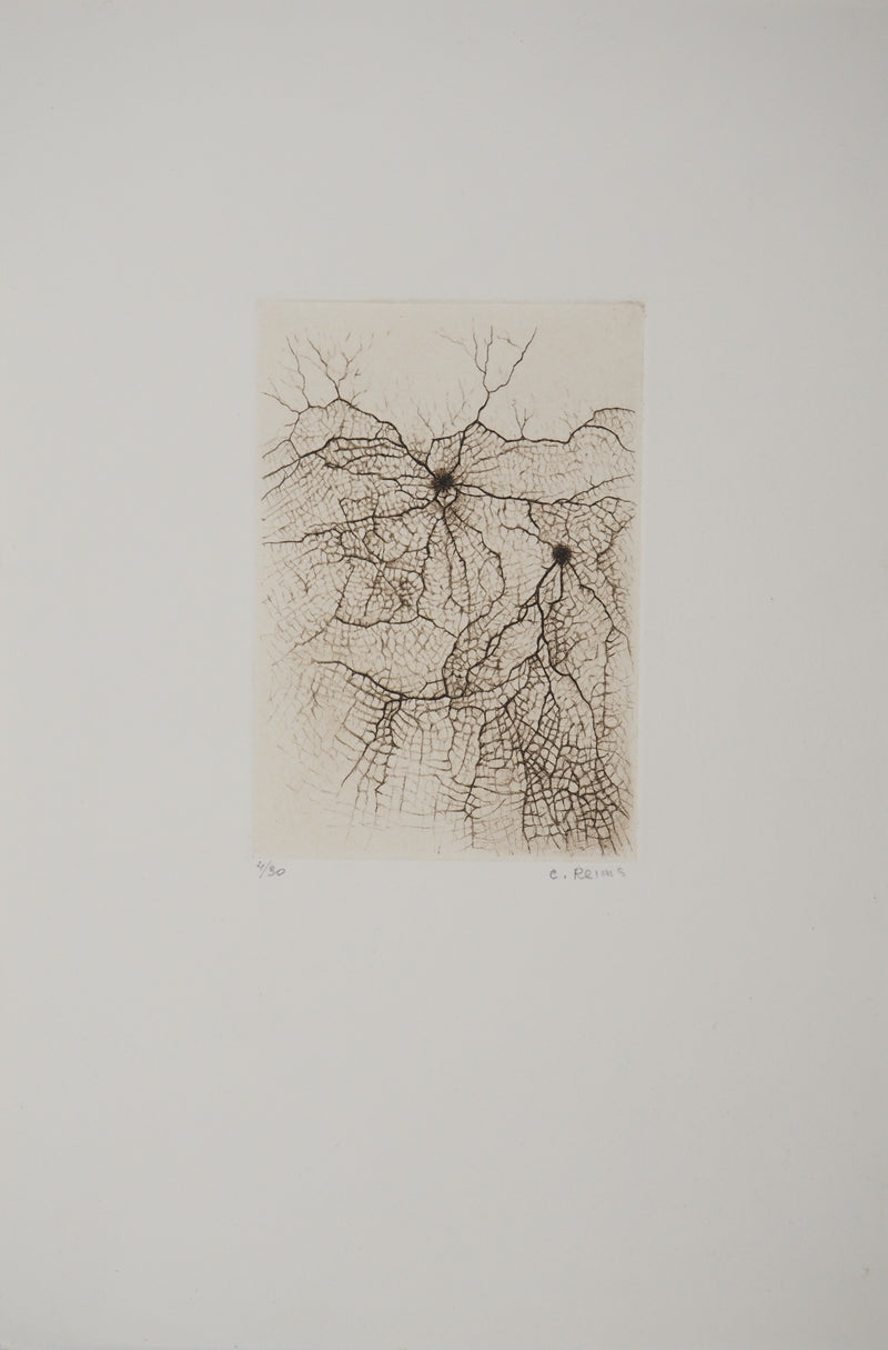 Cécile REIMS : Craquelures organiques, Gravure originale signée