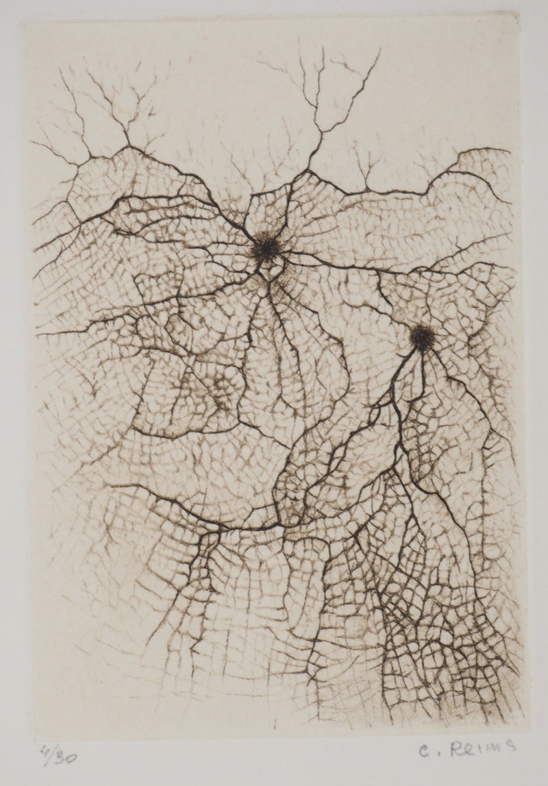 Cécile REIMS : Craquelures organiques, Gravure originale signée