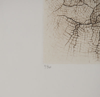 Cécile REIMS : Craquelures organiques, Gravure originale signée