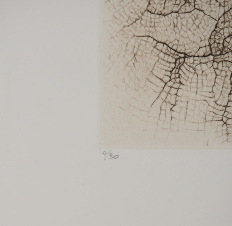 Cécile REIMS : Craquelures organiques, Gravure originale signée