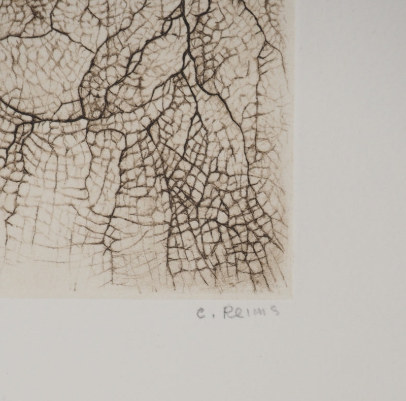 Cécile REIMS : Craquelures organiques, Gravure originale signée