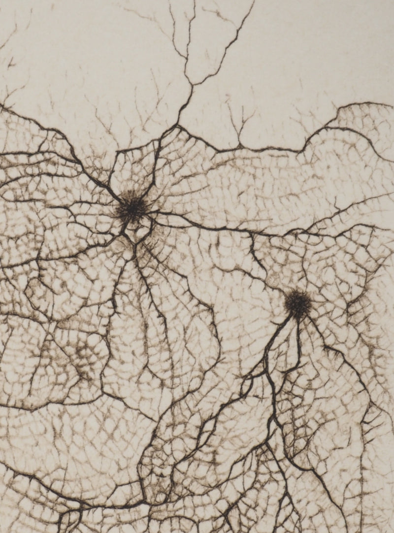 Cécile REIMS : Craquelures organiques, Gravure originale signée