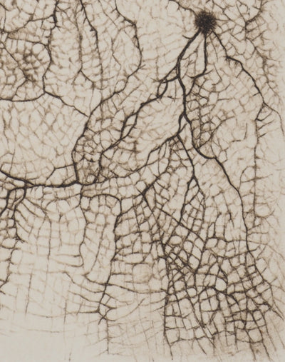 Cécile REIMS : Craquelures organiques, Gravure originale signée
