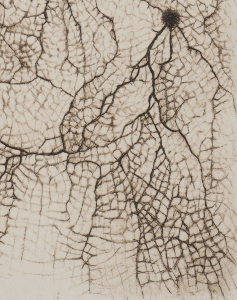 Cécile REIMS : Craquelures organiques, Gravure originale signée