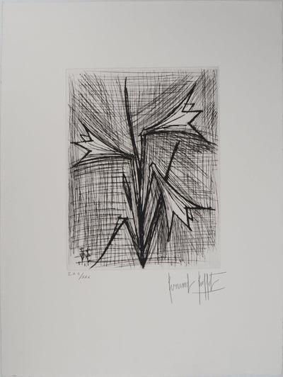 Bernard BUFFET : Les Lys, Gravure originale (vue générale) - Crédit photo : Galerie Art.Paris