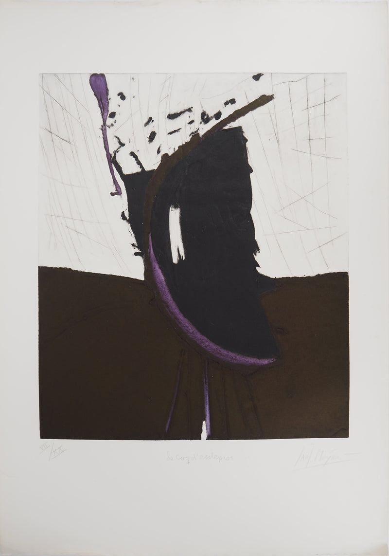 Jan MEIJER : Le Coq d&