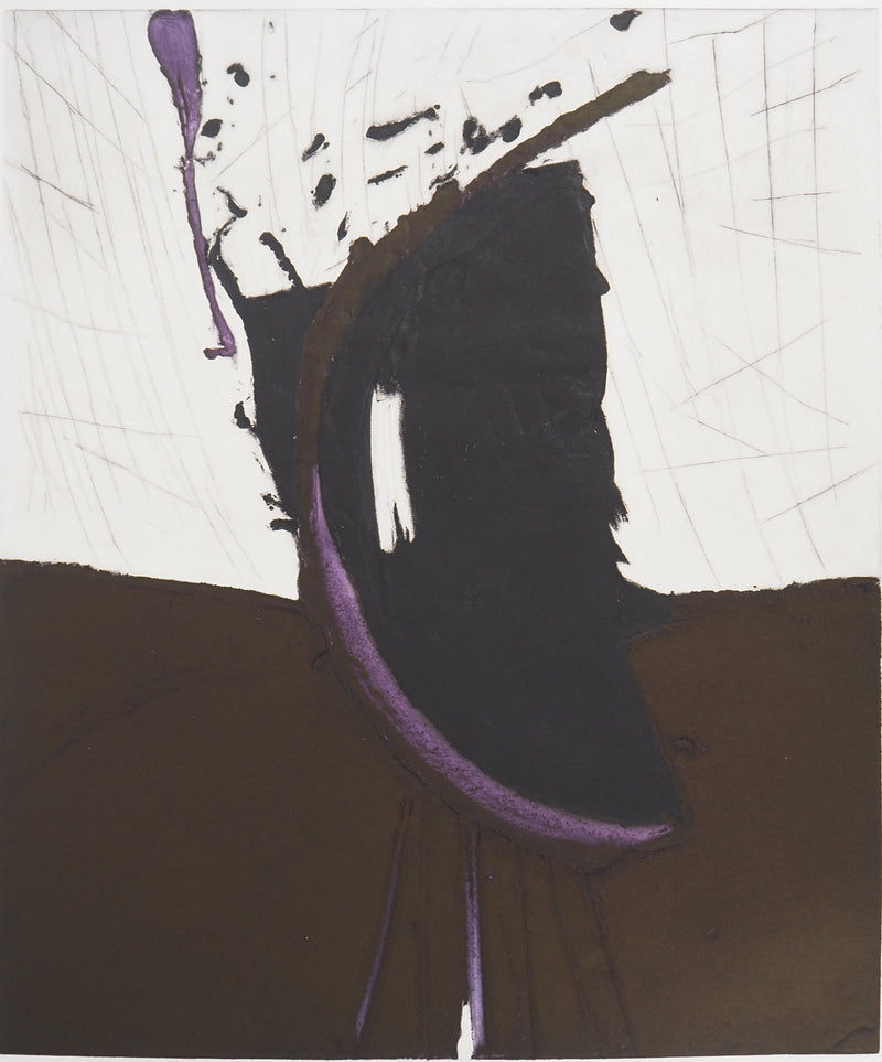 Jan MEIJER : Le Coq d&