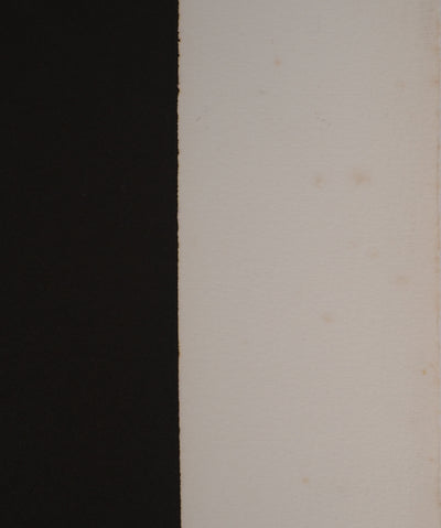 Jan MEIJER : Le Coq d'Asclépios, Gravure originale (photo de détail 7) - Crédit photo : Galerie Art.Paris