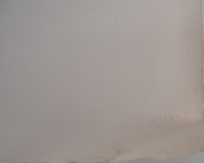 Jan MEIJER : Le Coq d'Asclépios, Gravure originale (photo de détail 10) - Crédit photo : Galerie Art.Paris