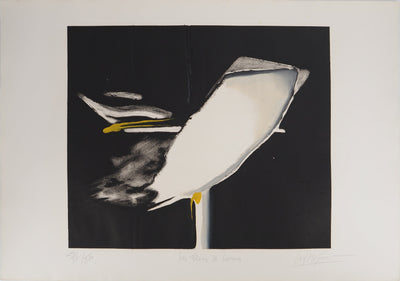 Jan MEIJER : Les Flots de Larmes, Gravure originale (vue générale) - Crédit photo : Galerie Art.Paris