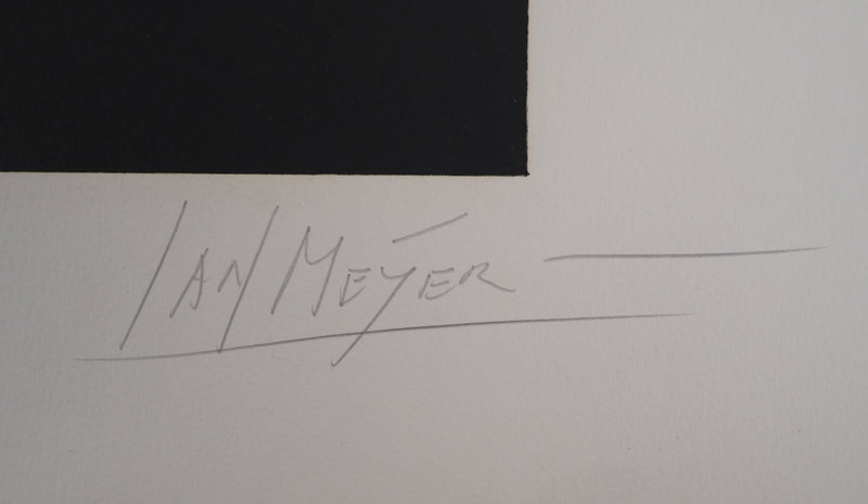 Jan MEIJER : Les Flots de Larmes, Gravure originale (photo de détail 2) - Crédit photo : Galerie Art.Paris