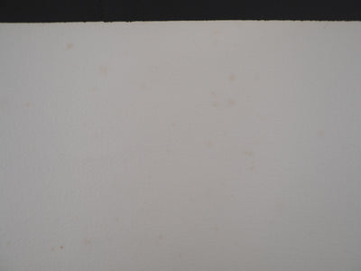 Jan MEIJER : Les Flots de Larmes, Gravure originale (photo de détail 10) - Crédit photo : Galerie Art.Paris
