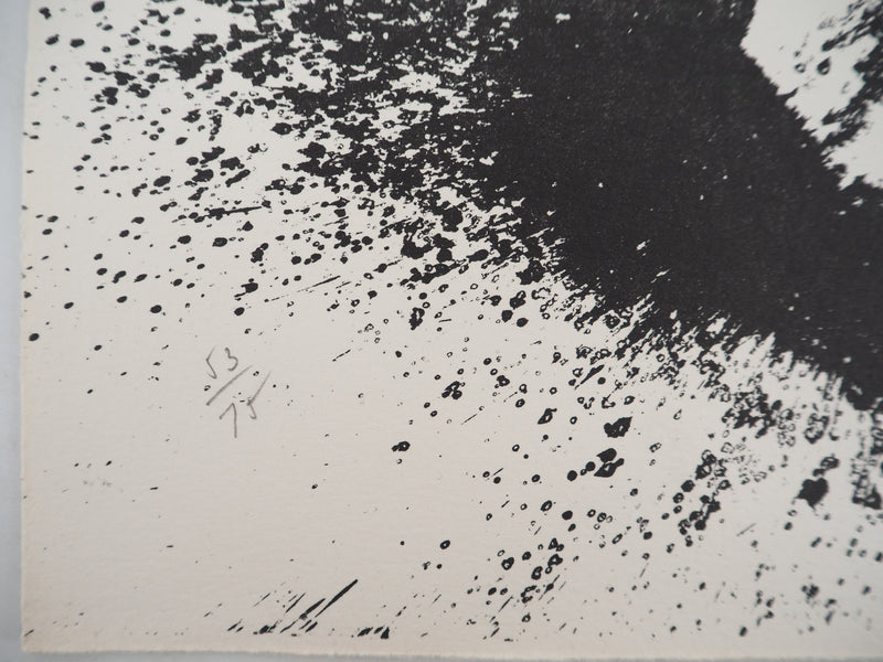 ARMAN : Violon en éclat, Lithographie originale signée