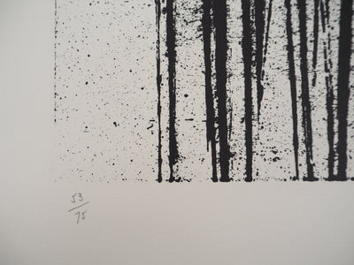 ARMAN : Accumulation d'archets, Lithographie originale signée