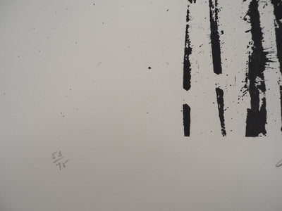 ARMAN : La Volute de violon, Lithographie originale signée (Copie)
