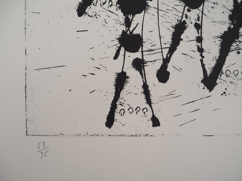ARMAN : Accumulation de cordiers de violon, Lithographie originale signée