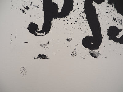 ARMAN : Accumulation d'ouïes de violons, Lithographie originale signée