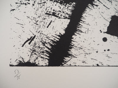 ARMAN : Projection d'un violon, Lithographie originale signée