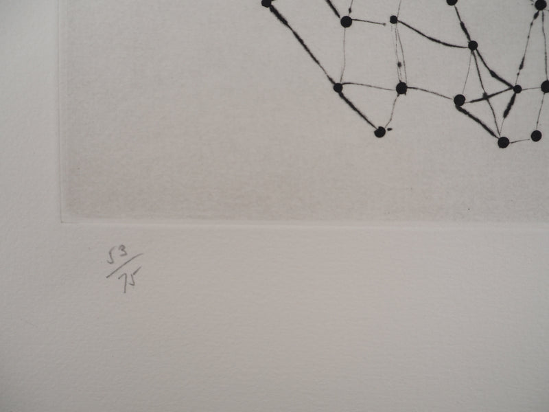 ARMAN : La constellation violon, Gravure originale signée