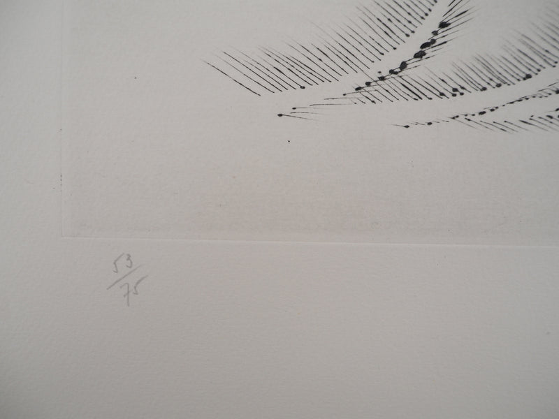 ARMAN : Jeux de quatre violons, Gravure originale signée
