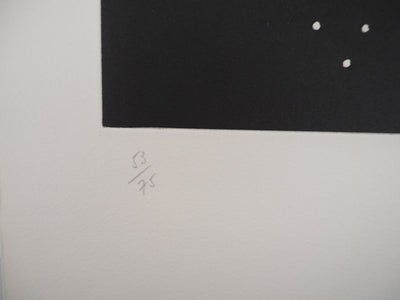 ARMAN : Molécules d'un violon, Gravure originale signée