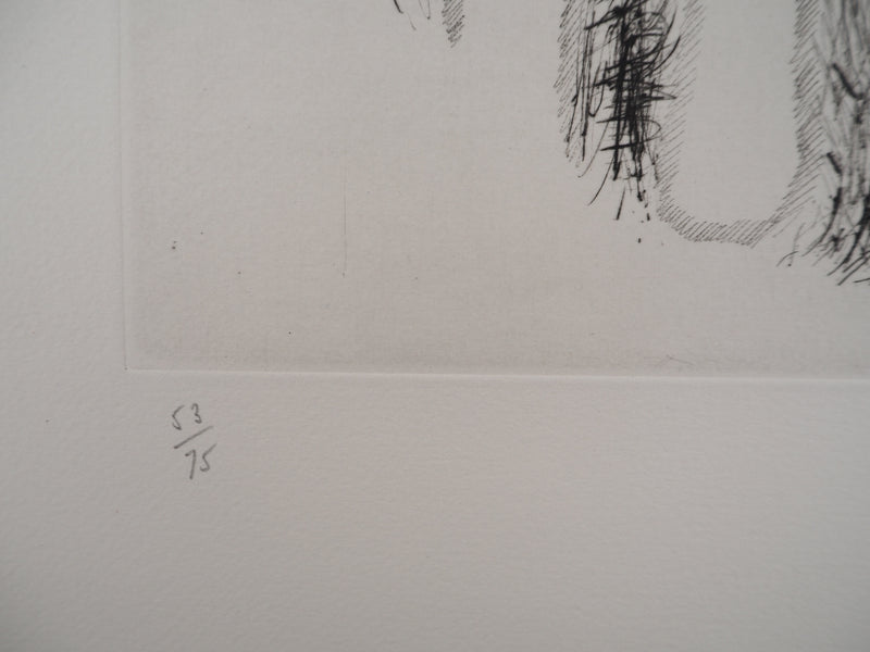 ARMAN : Accumulation de cordiers dans un violon, Gravure originale signée
