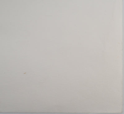 AP33 Maurice FILLONNEAU, Hommage an die Entdeckerinnen, Original signierte Lithographie
