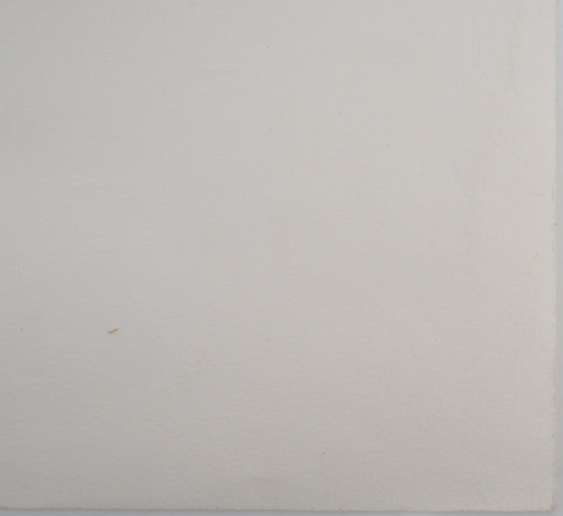 AP33 Maurice FILLONNEAU, Hommage an die Entdeckerinnen, Original signierte Lithographie