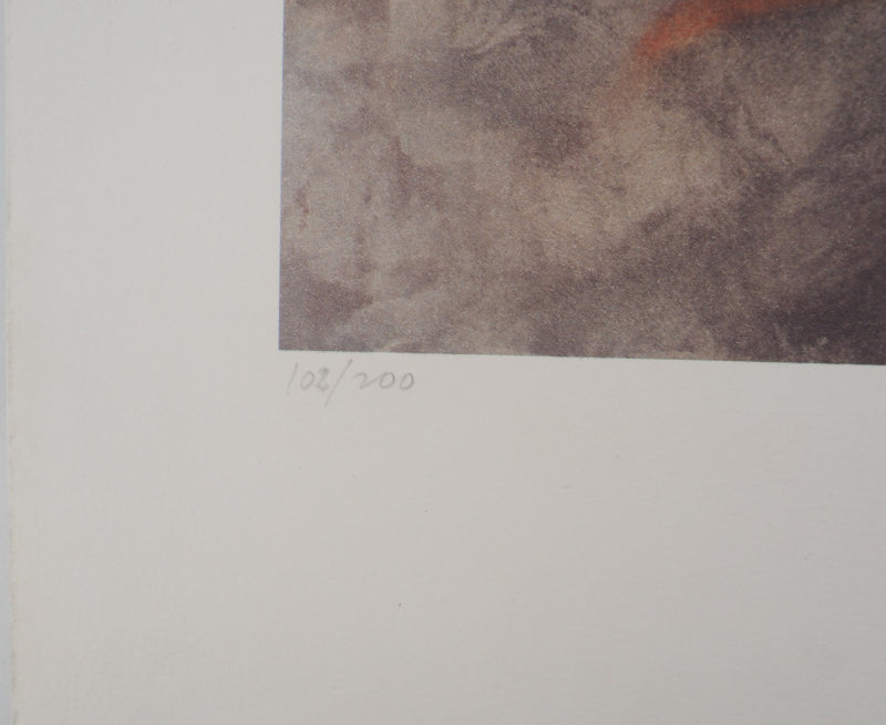 AP33 Maurice FILLONNEAU, Hommage an die Entdeckerinnen, Original signierte Lithographie