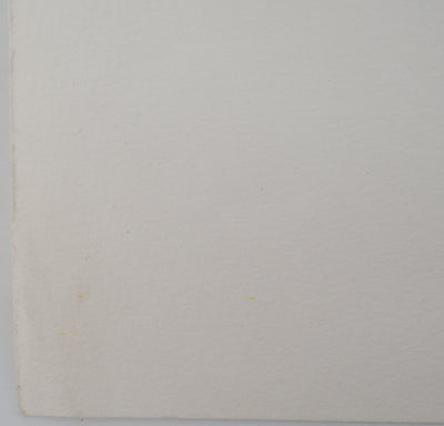AP33 Maurice FILLONNEAU, Hommage an die Entdeckerinnen, Original signierte Lithographie