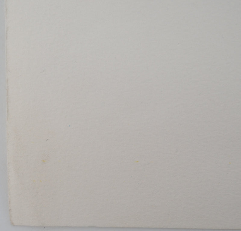AP33 Maurice FILLONNEAU, Hommage an die Entdeckerinnen, Original signierte Lithographie