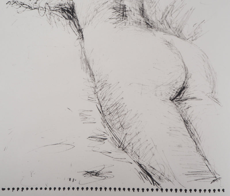 Pablo PICASSO (d’après) : Bien sûr, je le peux ... ! , Lithographie