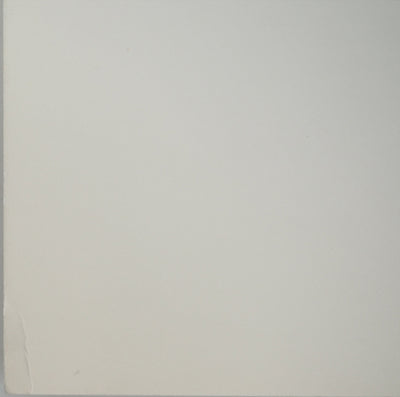 Nicolas CARREGA: Blurred landscape, Original signed lithograph