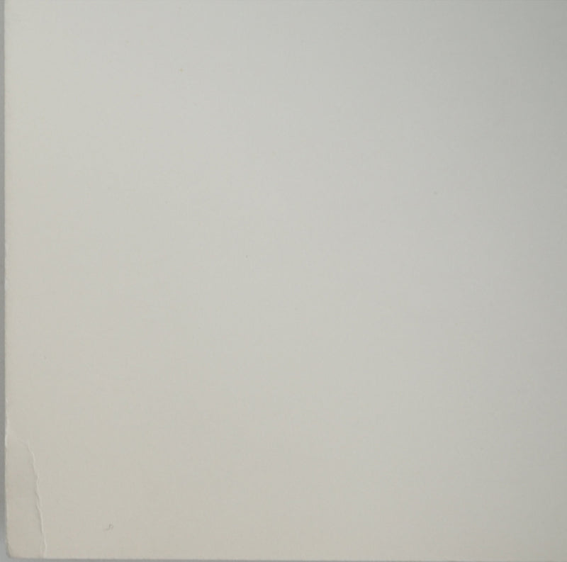 Nicolas CARREGA: Blurred landscape, Original signed lithograph