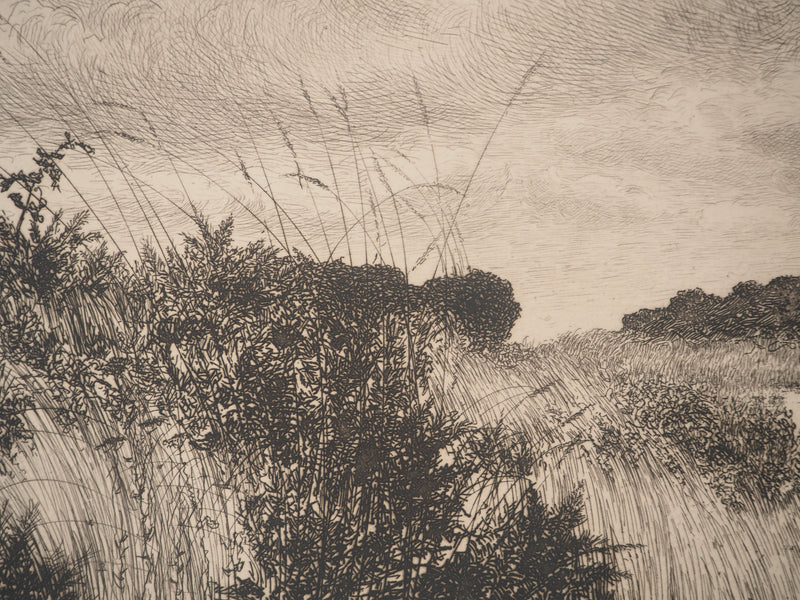J.A. DOMENGE : Sentier de campagne, Gravure originale signée