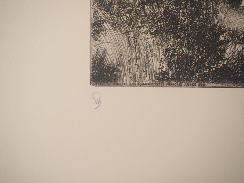 J.A. DOMENGE : Sentier de campagne, Gravure originale signée