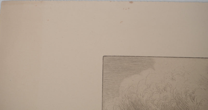 J.A. DOMENGE : Sentier de campagne, Gravure originale signée