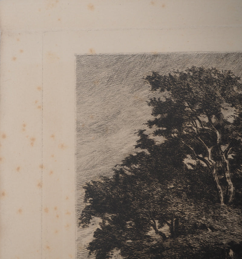 Tancrède ABRAHAM : L&