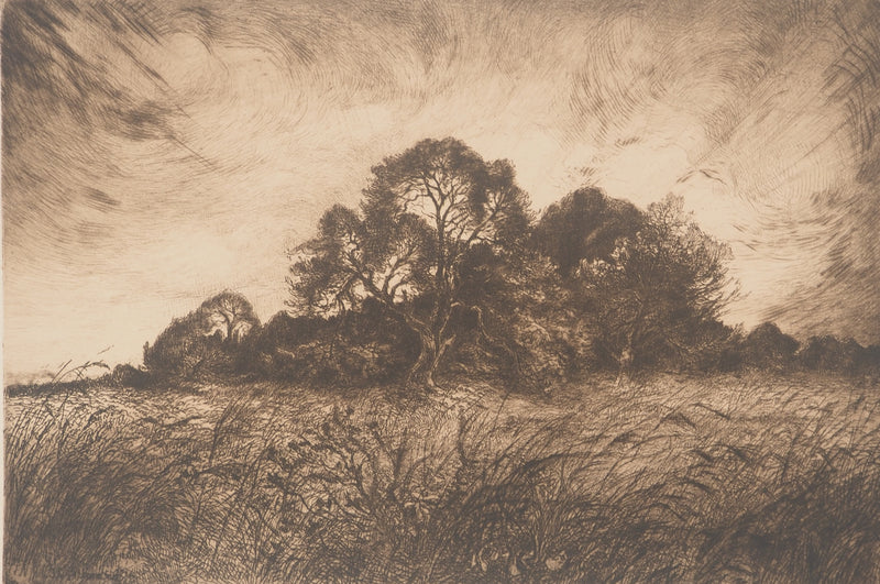 Jean-Louis BREMOND : Les pins dans les champs, Gravure originale signée