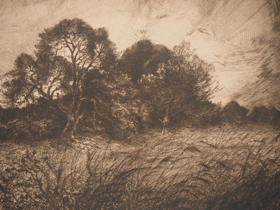 Jean-Louis BREMOND : Les pins dans les champs, Gravure originale signée