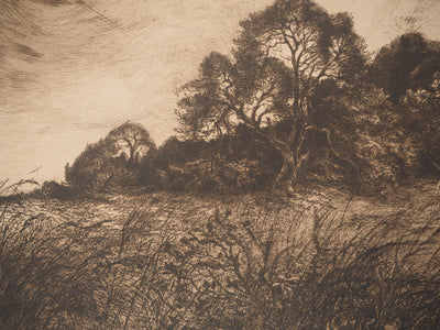 Jean-Louis BREMOND : Les pins dans les champs, Gravure originale signée