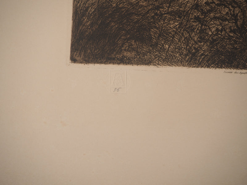 Jean-Louis BREMOND : Les pins dans les champs, Gravure originale signée