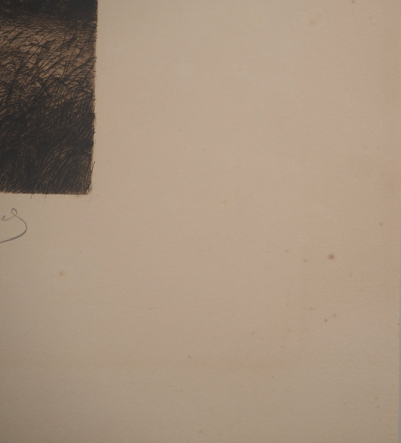 Jean-Louis BREMOND : Les pins dans les champs, Gravure originale signée