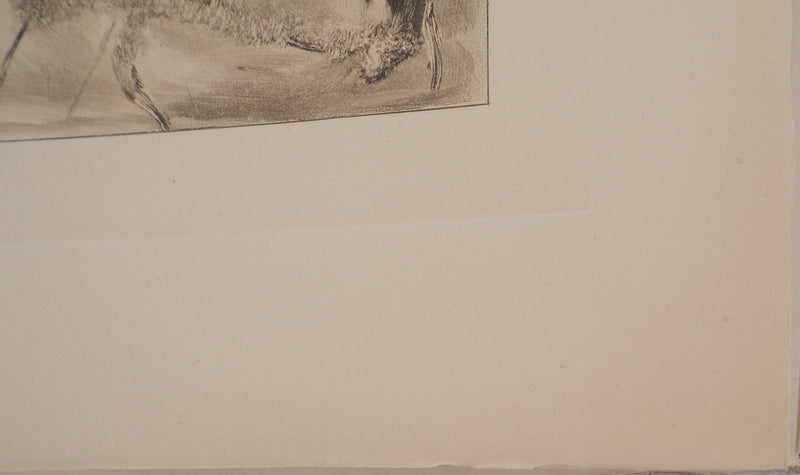 AF Edgar DEGAS: Model with arched back, Original engraving, 1935