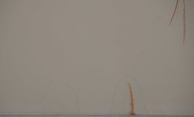 Antonuccio VOLTI : Femme de profil, Dessin original signé