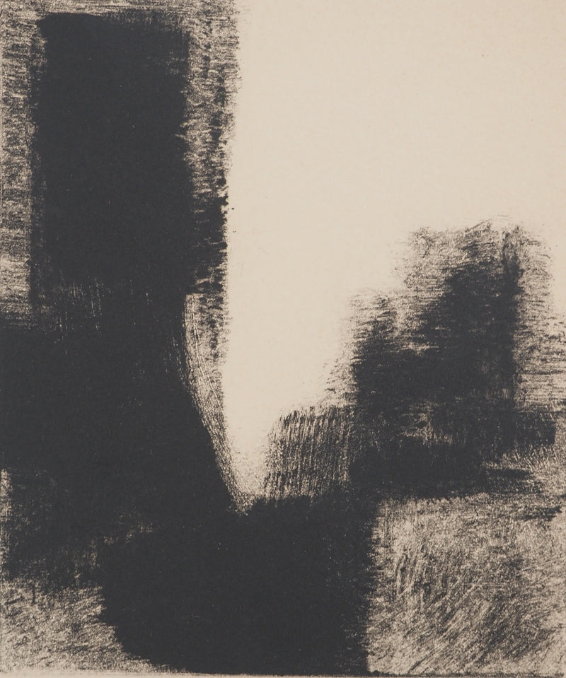 Nicolas CARREGA : Paysage flou, Lithographie originale signée
