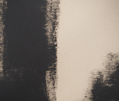 Nicolas CARREGA : Paysage flou, Lithographie originale signée